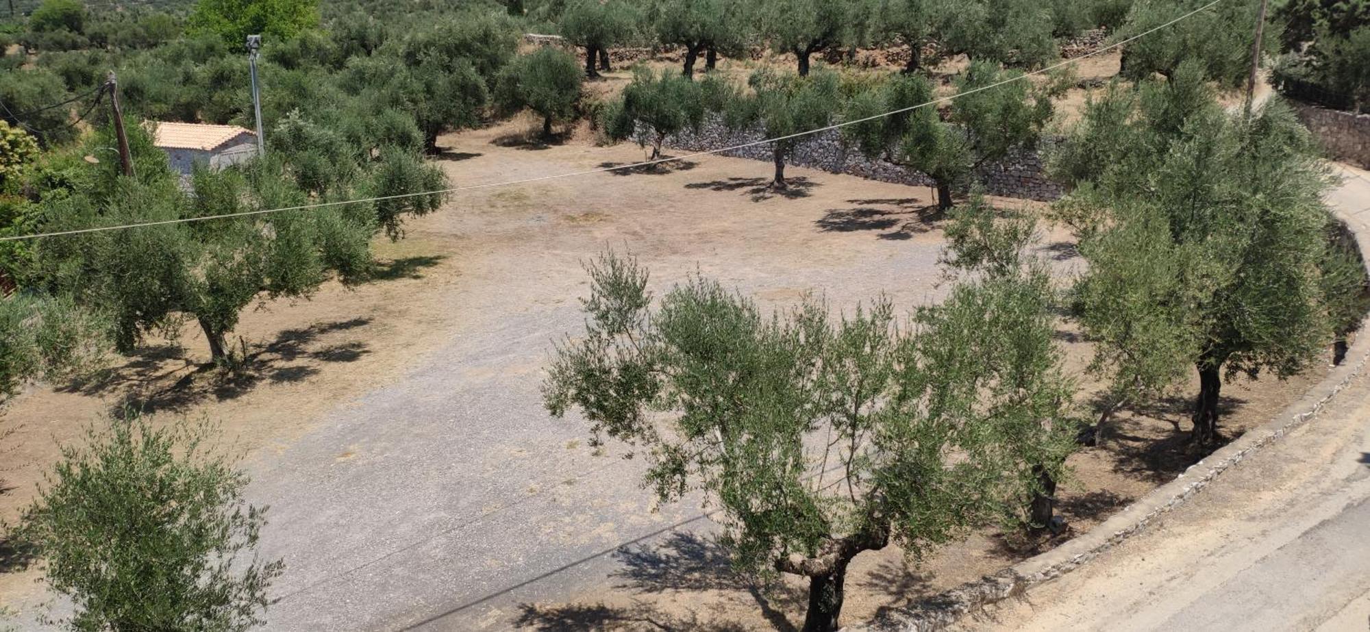 Polas Residencies Apart otel Kalamata Dış mekan fotoğraf